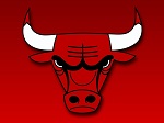 bull
